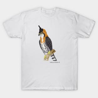 Ornate Hawk Eagle Bird T-Shirt